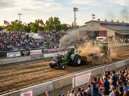 The Dixon May Fair